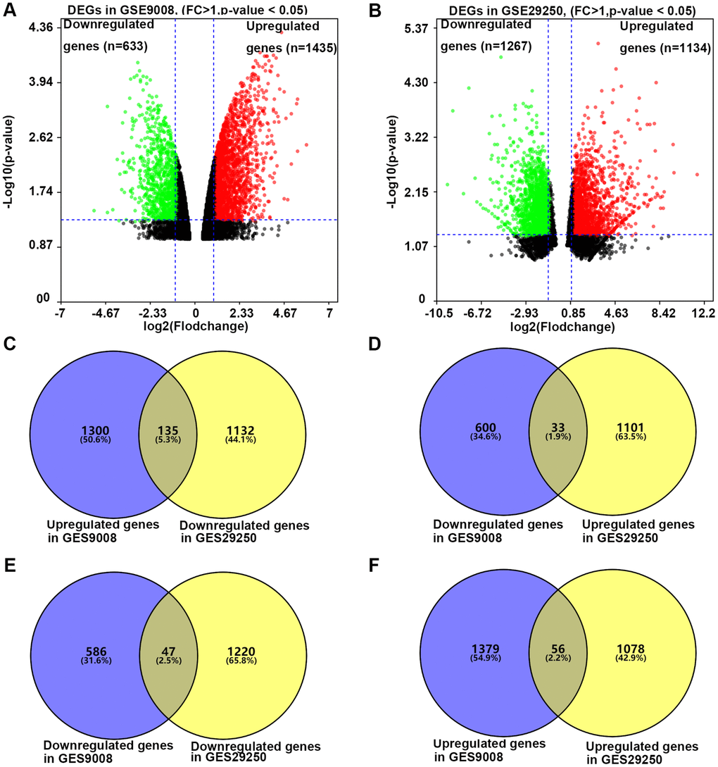 The process of screening candidate genes. (A) The DEGs in A549 cells treated with or without 25 microM resveratrol for 48 hours. Fold change >1 and p-value B) The DEGs in NSCLC tissue and adjacent normal tissue. Fold change >1 and p-value C) Genes down-regulated in NSCLC and unregulated by resveratrol in A549 (n = 135). (D) Genes unregulated in NSCLC and down-regulated by resveratrol in A549 (n = 33). (E) Genes down-regulated in both NSCLC and resveratrol treated A549 (n = 47). (F) Genes upregulated in both NSCLC and resveratrol treated A549 (n = 56).