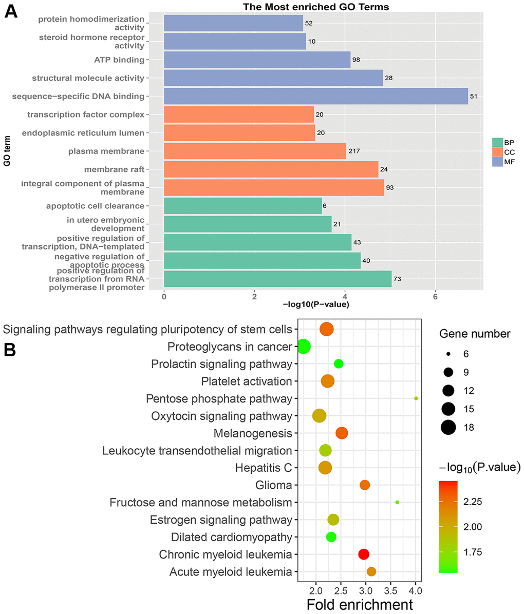 GO and KEGG enrichment analysis of PRC samples. (A) The top 15 enriched GO terms. (B) The top 15 significant KEGG pathways. Fold enrichment represents the degree of enrichment. The size of the bubble indicates the number of genes. The depth of bubble color indicates the level of significance.