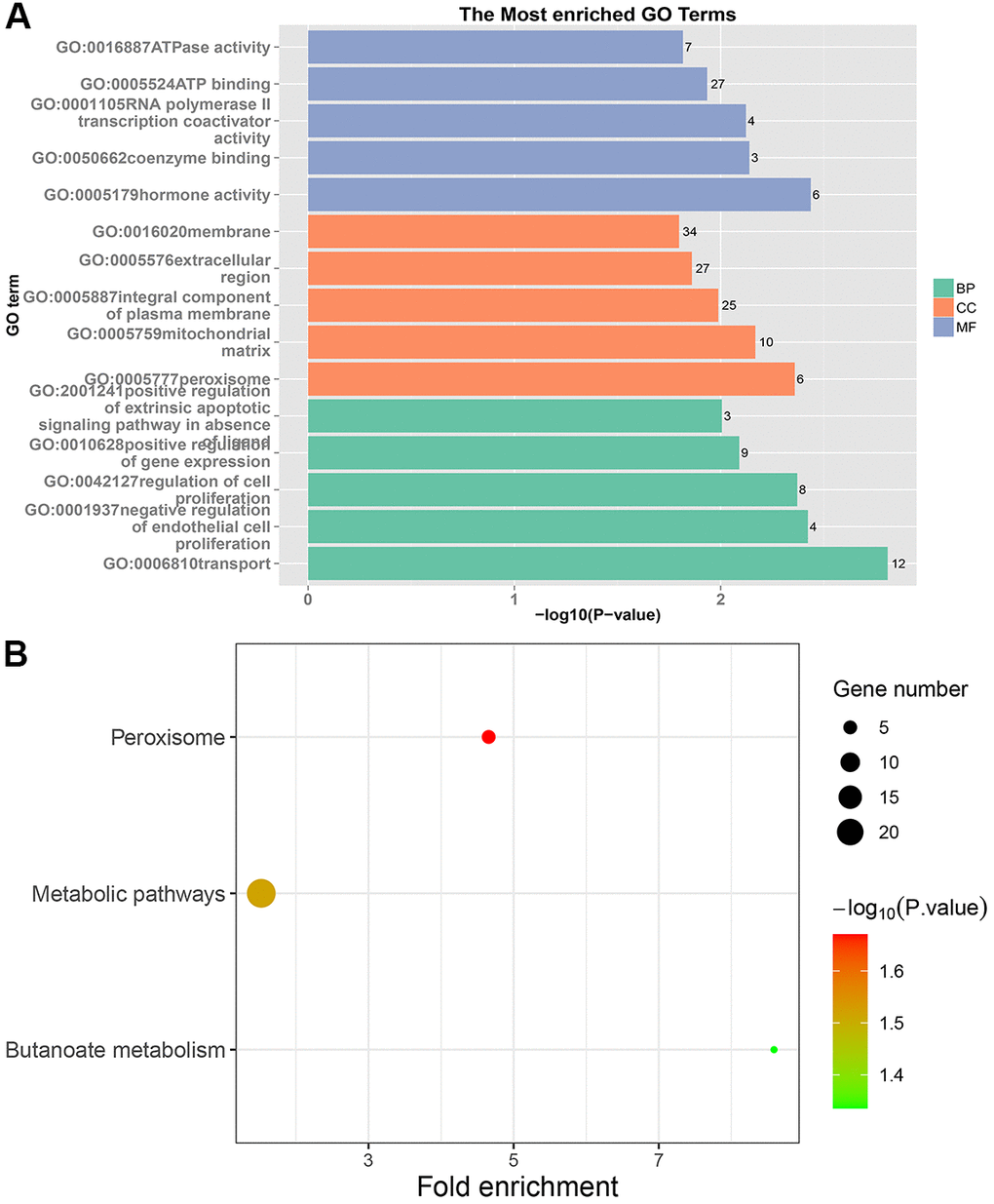 GO and KEGG enrichment analysis of NRRC samples. (A) The top 15 enriched GO terms. (B) The top 15 significant KEGG pathways. Fold enrichment represents the degree of enrichment. The size of the bubble indicates the number of genes. The depth of bubble color indicates the level of significance.