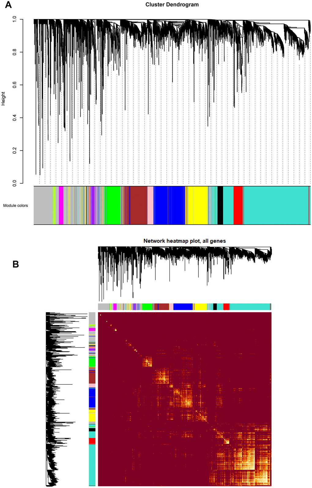 (A) Cluster dendrogram of all genes enriched based on the dissimilarity measure and the assignment modules. Highly interconnected groups of genes were clustered. Every color below represented one co-expression module, totally 14 distinct modules were identified with the hierarchical clustering tree analysis. (B) Topological overlap heatmap of the gene co-expression network. Each row and column represented a gene. Light color indicated high topological overlap and dark color represented low topological overlap. Different colors on x and y axis indicated different modules. The dendrogram suggested that the clustering of these genes was based on the similarity of their gene expression levels.