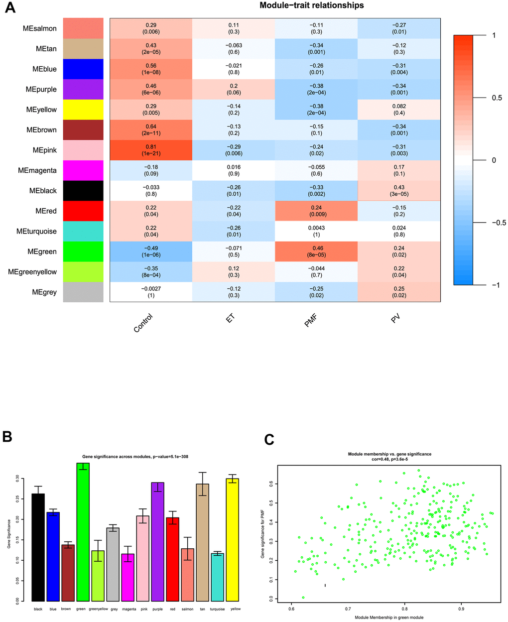 (A) The module-trait relationship heatmap between MEs and features. Each row corresponded to a module eigengene and column to a feature. The first column was normal samples; the second column was essential thrombocythemia; the third column was primary myelofibrosis; and the fourth column was polycythemia vera. Each square contained corresponding correlation (first line) and p value (second line). The left side of heat map indicated the module name, right side of heat map indicated the colors of correlation (blue represented negatively correlated, red represented positively correlated). (B) Histogram of gene significance across modules in PMF group. (C) The correlation between gene significance and module membership in green module. The y-axis indicated gene significance in green module, and x-axis represented the module membership in green module.