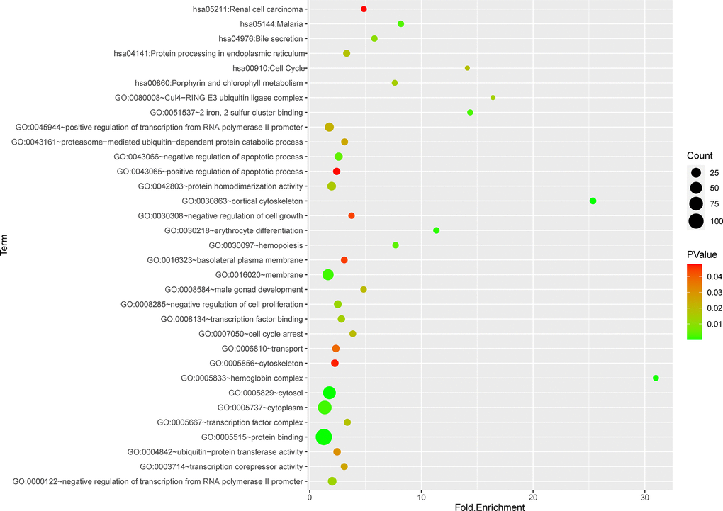 Functional and pathway enrichment analysis of genes in green module.