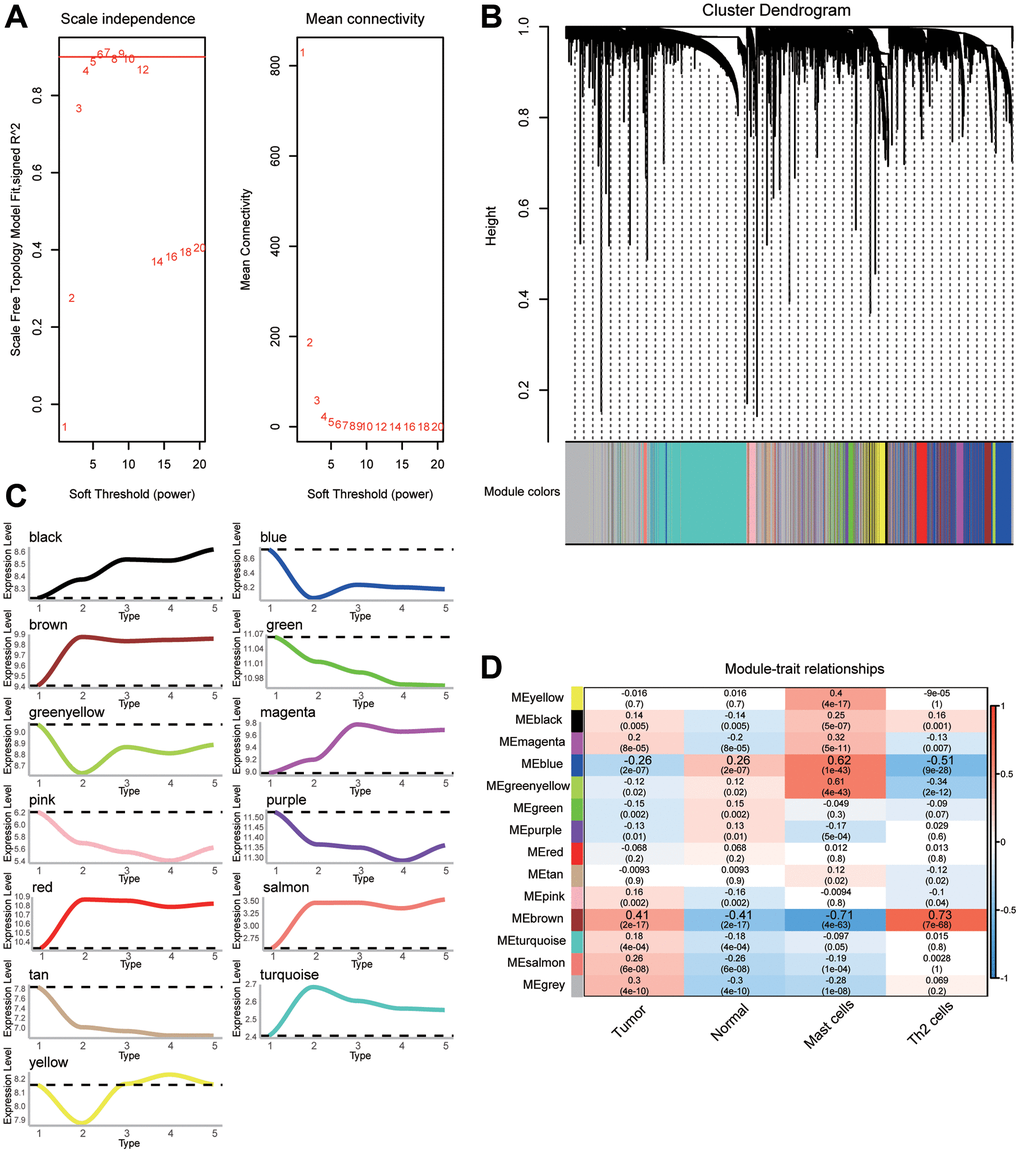 The weighted gene coexpression network analysis (WGCNA) network for selected genes. (A) Analysis of the scale-free fit index and the mean connectivity for various soft-thresholding powers (β). (B) Cluster dendrogram of differentially expressed genes (DEGs) showing similar expression trends. (C) Up- or downregulation trend of gene modules. (D) Heatmap of the correlation between gene modules and clinical traits.