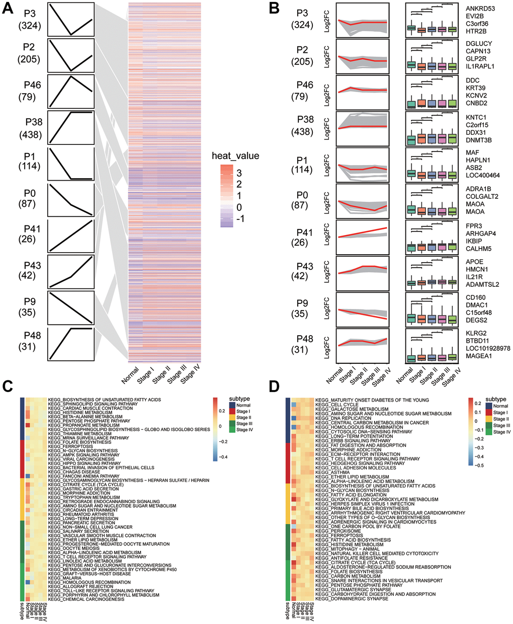 Sets of genes showing persistent up- or down-regulation during gastric cancer development. (A) Heatmap of gene sets with persistent under- or overexpression from normal to stage IV of gastric cancer. (B) The top four genes with the greatest fold-change in transcription level in 10 clusters. (C) Signaling pathways that are consistently up-regulated as tumors develop. (D) Signaling pathways that are consistently down-regulated as tumors develop.