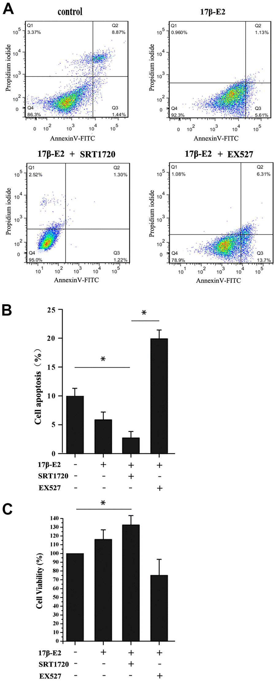 Up-regulation of SIRT1 induced by 17β-E2 inhibited apoptosis in osteoblasts. (A) Cell apoptosis rates (%) were measured by using flow cytometry (FCM) analysis of Annexin V-FITC/PI dual staining in osteoblasts pretreated with or without SRT1720 and EX527 for 2 h prior to incubation with 17β-E2 (10-6 M) for 24 h. Q1, dead cells; Q2, later apoptotic cells; Q3, early apoptotic cells; Q4, living cells. The apoptotic rate was determined as the percentage of Q2+Q3. (B) The histogram showed the percentage of apoptosis rate in different groups. The results suggested that the apoptosis rates (Q2+Q3) were significantly decreased in 17β-E2 + SRT1720 group compared with those in the control group and 17β-E2 + EX527 group. (C) MTT assay was performed to detect the osteoblasts viability, and the histogram showed the cell viability (%) in different groups. The data were expressed as the means ± SD from 3 independent experiments. * P 