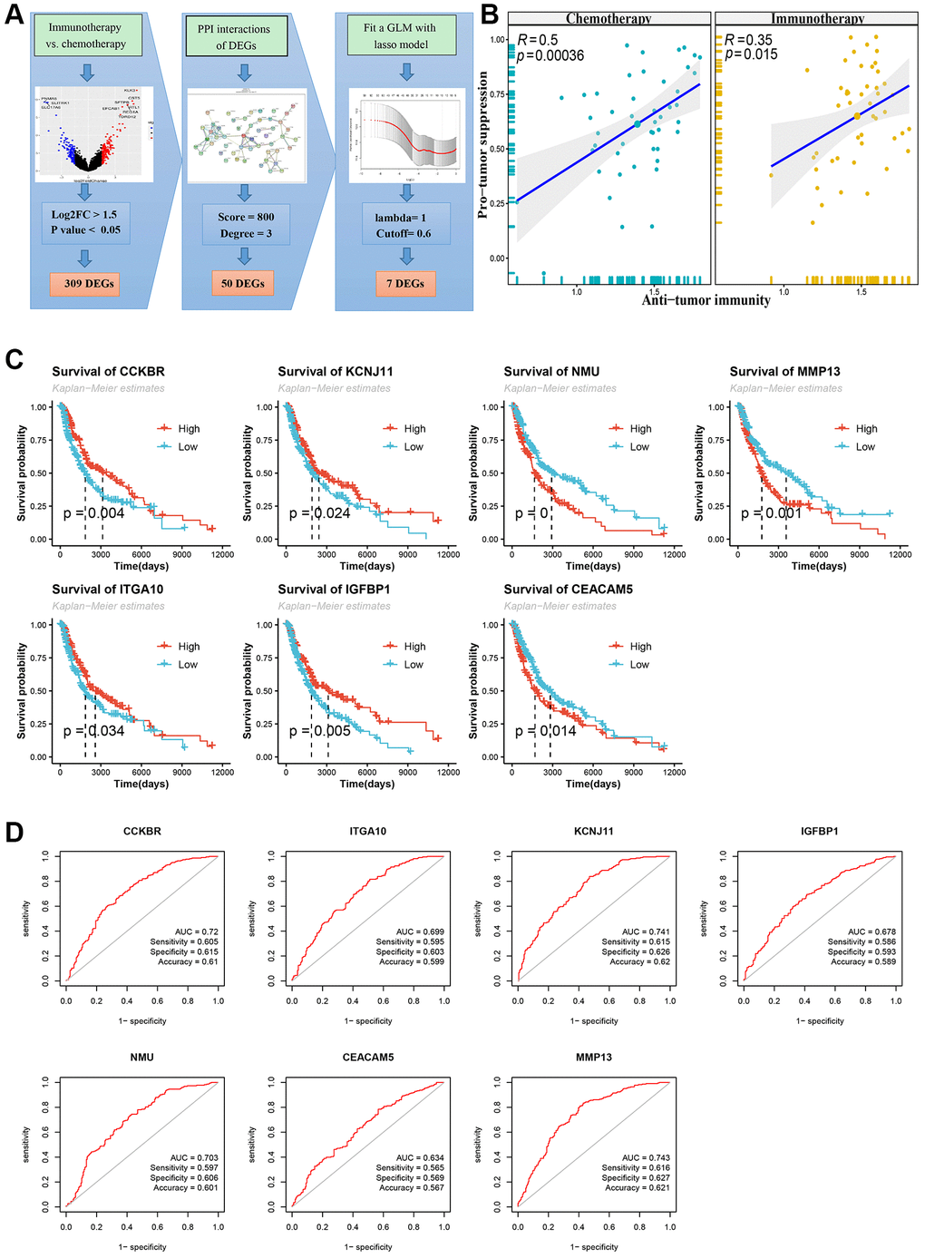 Flowchart of screening signature genes and its Kaplan-Meier survival curve and receiver operating characteristic curve (ROC). (A) Flowchart of screening signature genes. Including volcano plot of differentially expressed genes (DEGs), DEGs’ PPI network and Lasso-COX fitting model. (B) DEGs immune cell infiltration analysis, Pearson correlation test of Anti-tumor and Pro-tumor suppression based on immune cell type enrichment scores. (C) Log-rank test for survival curves of signature genes. (D) ROC curve, area under curve (AUC), sensitivity, specificity and accuracy values of signature genes.