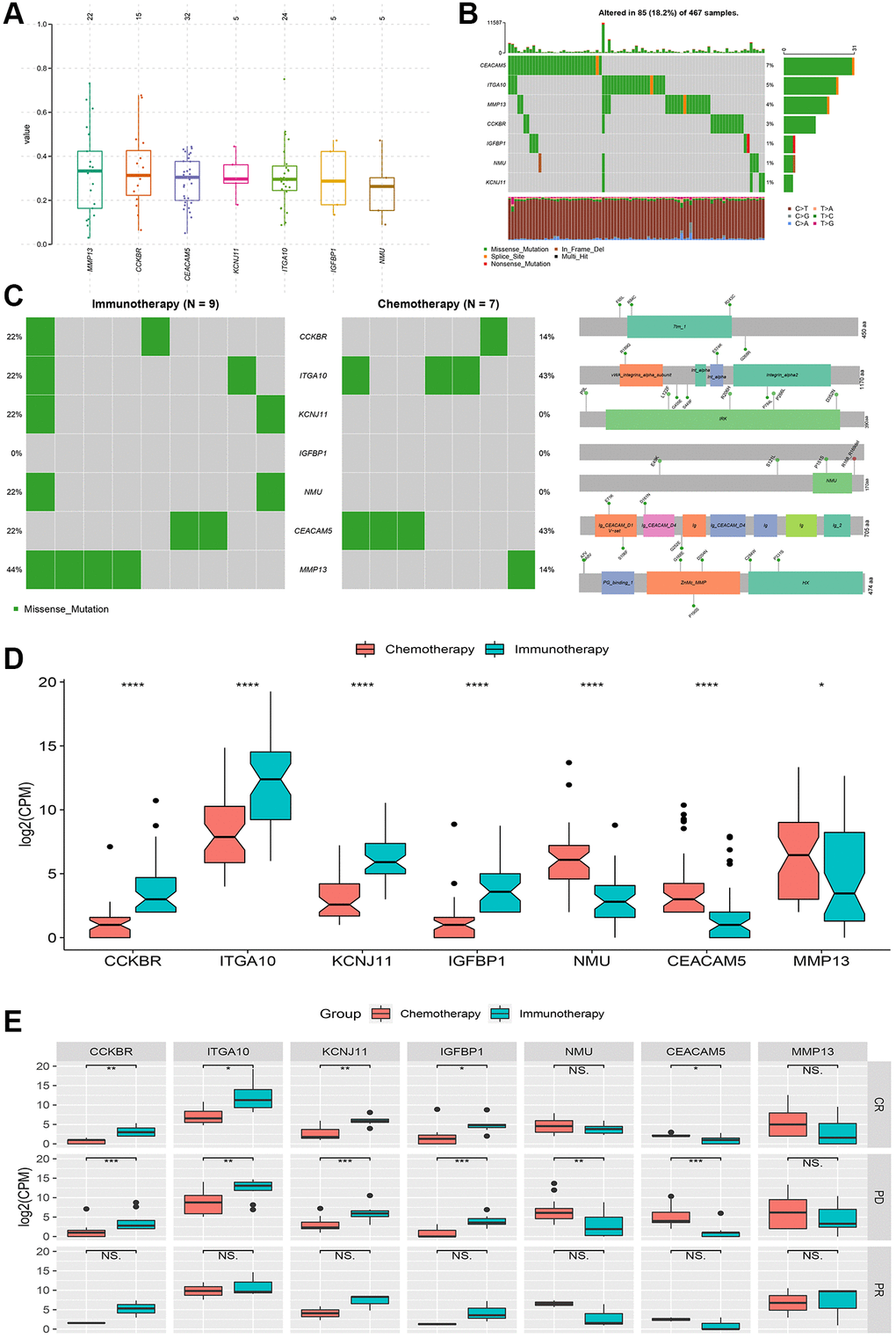 Genetic variation and relative expression differences of signature genes between chemotherapy and immunotherapy. (A and B) Mutation frequency and type of signature genes. (C) Mutations and protein domain differences of signature genes between chemotherapy group and immunotherapy group. (D) Differences in relative expression levels (log2(CPM)) of signature genes between the two groups. (E) Comparison of complete response (CR), partial response (PR) and progressive disease (PD) differences in signature genes between the two groups. *P **P ***P ****P 