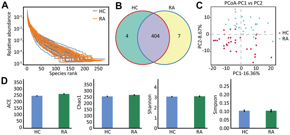 The species abundance and diversity. (A) The rank abundance curve of HC and RA group. (B) The OTUs (97% similarity) of HC and RA group. (C) The principal coordinate analysis score (PcoA) plots base on the relative abundance of OTUs, unweighted unifrac PcoA plots between HC group and RA group. HC group showed in red dots, RA group showed in blue dots. (D) Species α-diversity differences between the HC group and RA group (ACE, Chao1, Shannon and Simpson index).