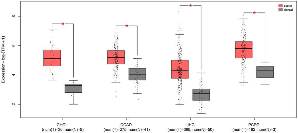 The expression levels of SNHG7 in four kinds of cancer tissues and normal tissues. “*”|Log2FC|>1 and P