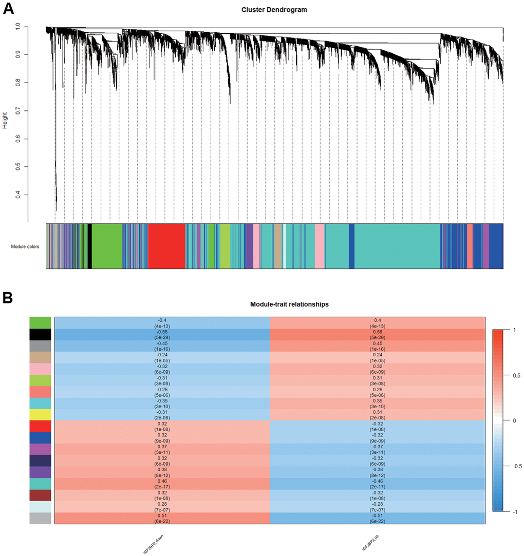 Module associated with IGF2BP2 in AD. (A, B) 17 modules related to the expression level of IGF2PB2 analyzed by WGCNA.