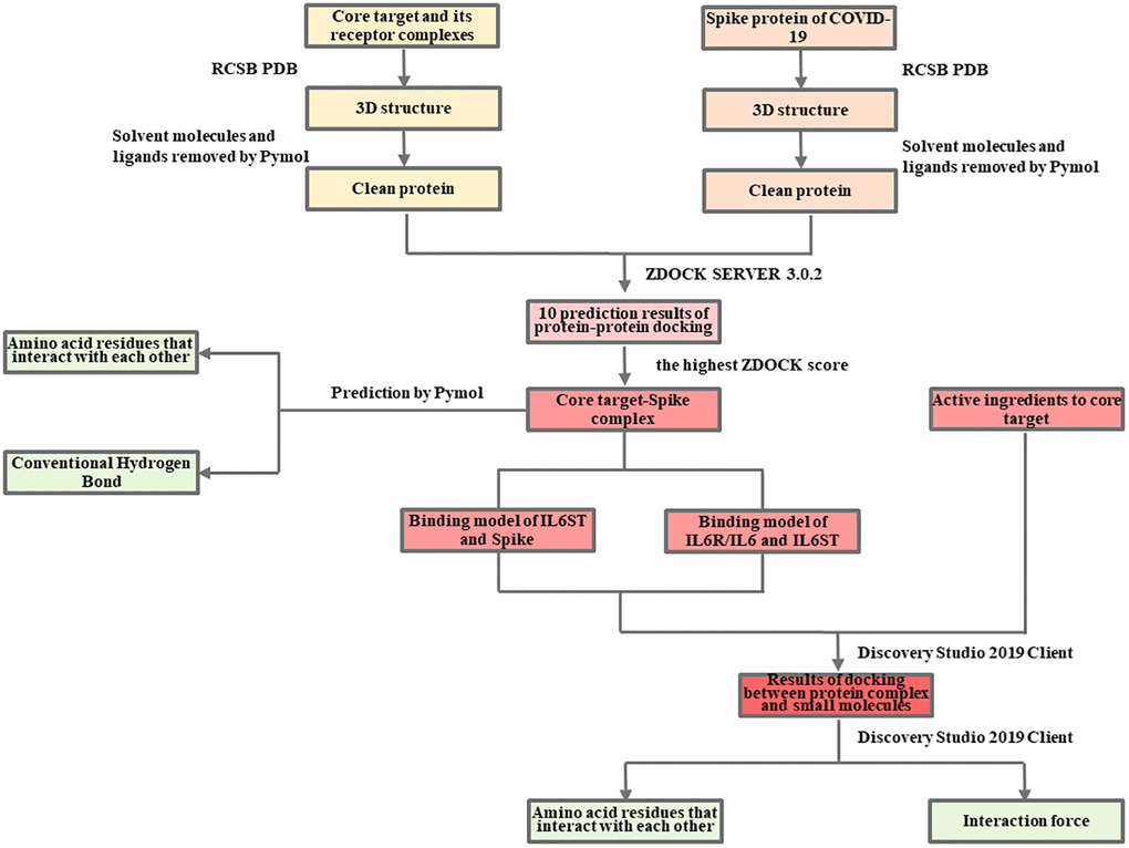 Molecular docking analysis of the mechanism of LHQW in treating COVID-19.