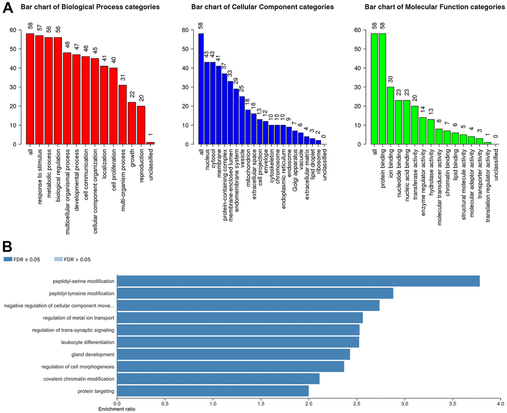 The biological pathways of the YTH domain family were evaluated by the WebGestalt database. (A) Bar plot of GO enrichment in cellular components, biological processes, and molecular functions. (B) The bar plot of KEGG enrichment.