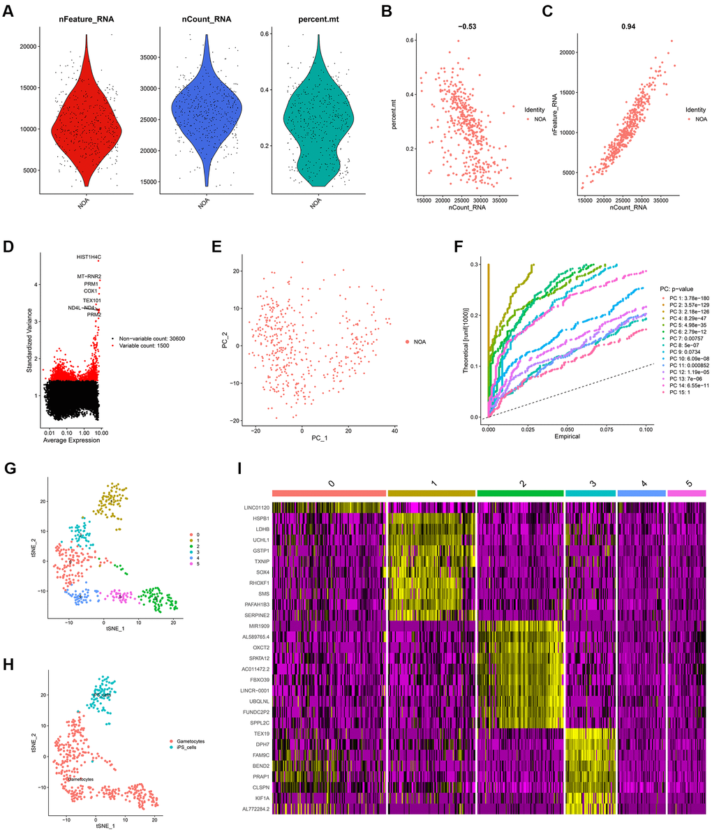 The identification of cell markers via scRNA-seq analysis. (A) The quality control chart. (B, C) The association of detected gene counts with the percent of mitochondrial genes (B) and sequencing depth (C). (D) The Top 10 genes with the most differentially expressed among various cell samples. (E) The PCA analysis. (F) The P-values of each PC. (G) The cell samples were divided into 5 clusters. (H) The cell type annotation. (I) The heat map indicating the expression level of the cell markers in different cell clusters. scRNA-seq, single-cell RNA sequencing; PCA, principal component analysis; PC, principal component.