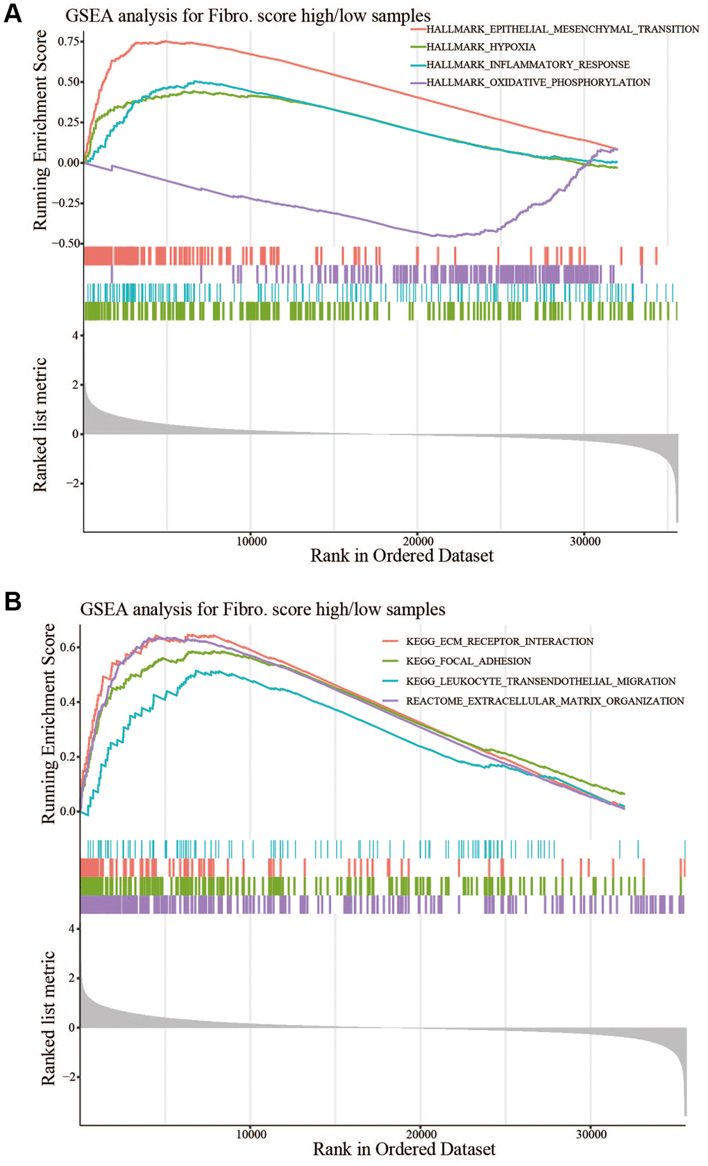 GSEA between the high- and low-risk groups. (A) HALLMARK