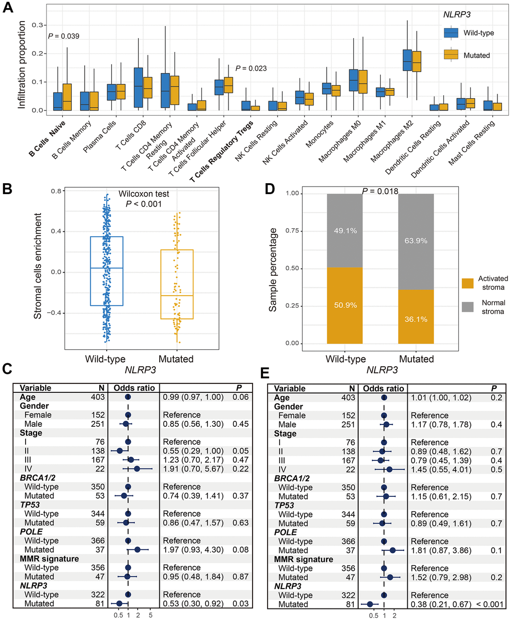 Association between NLRP3 mutations and factors in microenvironment. (A) Diverse infiltration abundance of immune cells based on NLRP3 mutational status. (B) Differential enrichment of overall stromal cells in NLRP3 mutated and wild-type patients. (C) Representation for forest plot of association between NLRP3 mutations and stromal cells enrichment. (D) Distinct distribution of activated stroma subtype in patients with and without NLRP3 mutations. (E) Multivariate Logistic regression model for the association of NLRP3 mutations with activated stroma subtype.