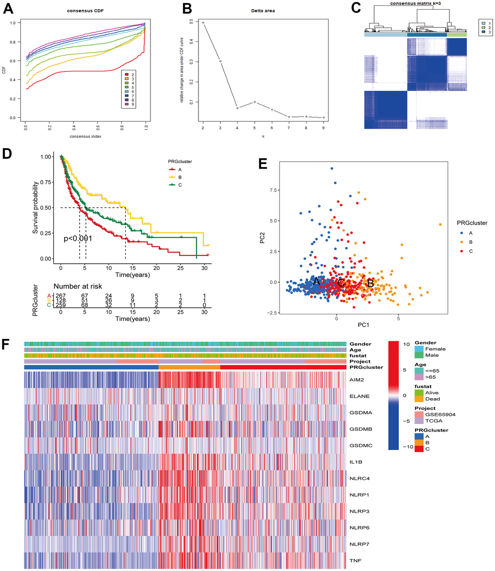 Unsupervised cluster analysis classified CM patients into different subclusters. (A, B) Consensus clustering cumulative distribution function (CDF) and relative change in the area under the CDF curve when K = 2-9. (C) Consensus clustering matrix in PRG modification patterns when K = 3. (D) Survival analysis curve of three PRG modification patterns in CM from TCGA, and GSE65904 cohorts. Red: PRG cluster A; orange: PRG cluster B; green: PRG cluster C. Log-rank p E) Principal component analysis (PCA) of three PRG modification patterns gene expression profiles. Blue represents PRG cluster A, orange PRG cluster B, and red PRG cluster C. (F) Unsupervised clustering heatmap of 12 PRGs in CM. PRG clusters, age, gender, and survival status were used as patient annotations. Red represents high PRG expression and blue low PRG expression.