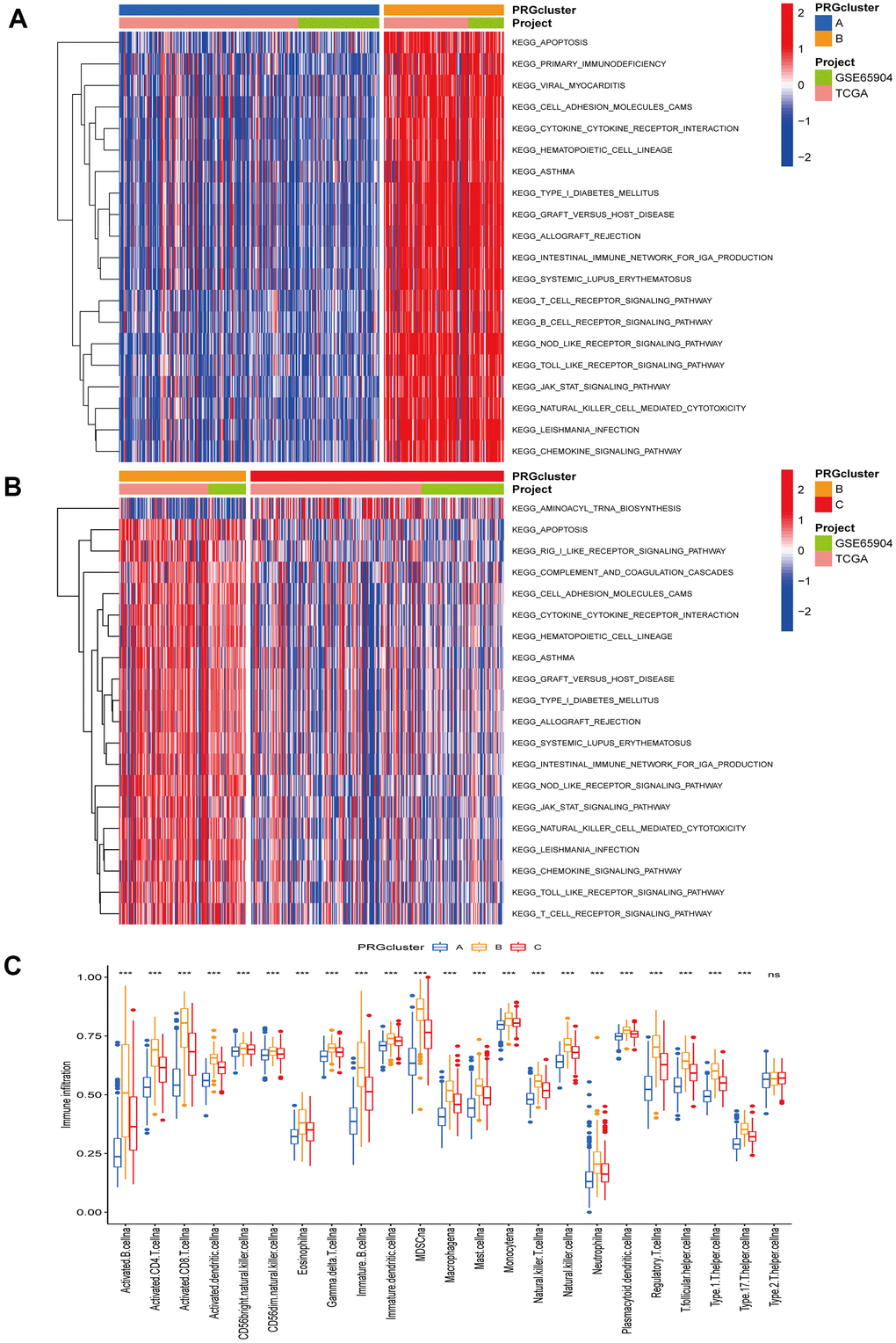 Gene set variation and enrichment analysis. (A, B) GSVA enrichment analysis annotated the biological functional pathways of different PRG modification patterns. Red represents functional pathways significant enrichment and blue represents small enrichment. (A) PRG cluster A vs PRG cluster B. (B) PRG cluster B vs PRG cluster C. (C) TME immune cell infiltration levels between the three PRG clusters. Blue represents PRG cluster A, orange PRG cluster B, and red PRG cluster C. The median value is represented as the thick line, and the interquartile range is represented as the box bottom and top. Scattered dots represent outliers. (*p 