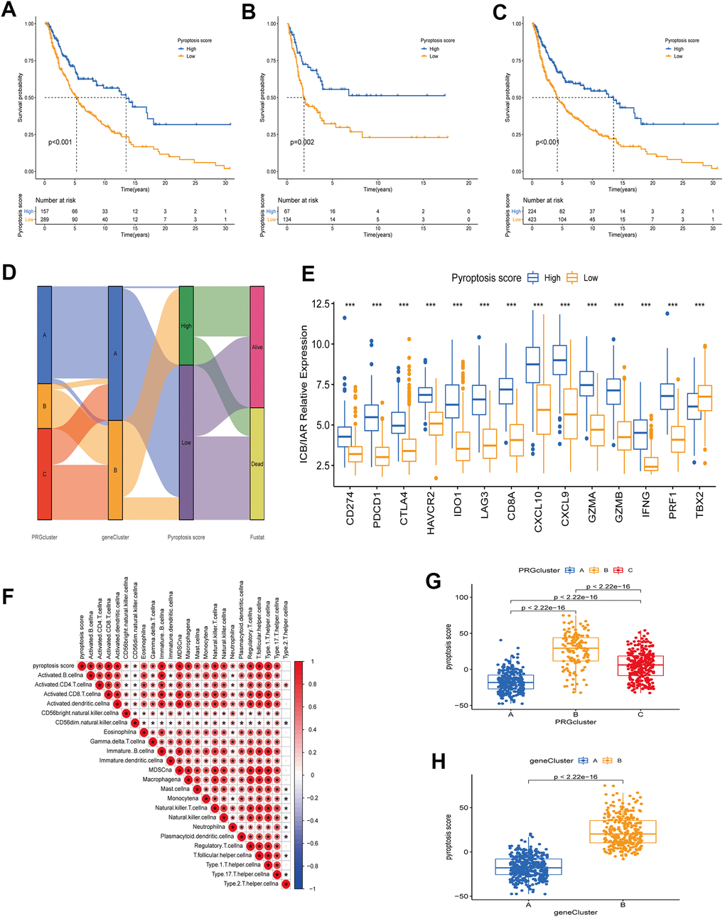 Construction of a quantitative index pyroptosis score. (A–C) Survival analysis curves of high and low pyroptosis score groups between different cohorts. Blue represents high scores, orange low scores. (A) TCGA cohort. (B) GSE65904 cohort. (C) TCGA combined with GSE65904 cohort. (D) Alluvial plots of the distribution of different PRG clusters, gene clusters, Pyroptosis scores, and survival outcomes. (E) Expression of immune check blocking genes (CD274, PDCD1, CTLA4, HAVCR2, IDO1, LAG3) and immune activation related genes (CD8A, CXCL10, CXCL9, GZMA, GZMB, IFNG, PRF1, TBX2) between high and low pyroptosis score groups. (F) Correlation analysis between TME immune cell infiltration and pyroptosis score. Larger circles in the box represent higher correlations. Red: positive correlation; blue: negative correlation. (G) Differences in pyroptosis scores between the three PRG modification patterns. The differences between the three subclusters were analyzed using the Kruskal-Wallis test (p H) Differences in pyroptosis scores between two gene clusters (A and B). The differences between the two subclusters were analyzed using Wilcoxon rank-sum test (p 