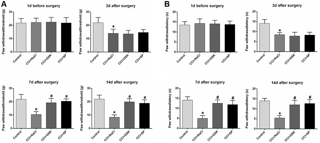 The influences of RIP3 inhibitor and JNK inhibitor on pain behaviors of CCI rats. (A) The behavioral mechanical allodynia at day 1 before CCI and at days 3, 7, and 14 after CCI. (B) The thermal hyperalgesia at day 1 before CCI and at days 3, 7, and 14 after CCI. Data are shown as mean SD (n = 8). *P #P 