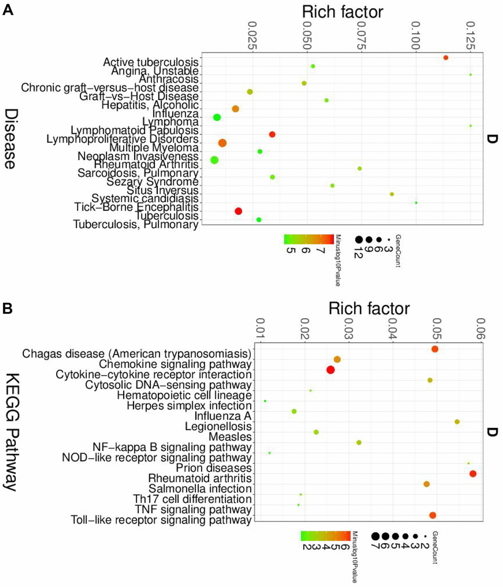 The disease and KEGG enriched of DEGs in neutrophils. (A) The top disease enriched of DEGs in neutrophils. (B) The KEGG pathway analyses of DEGs in neutrophils.