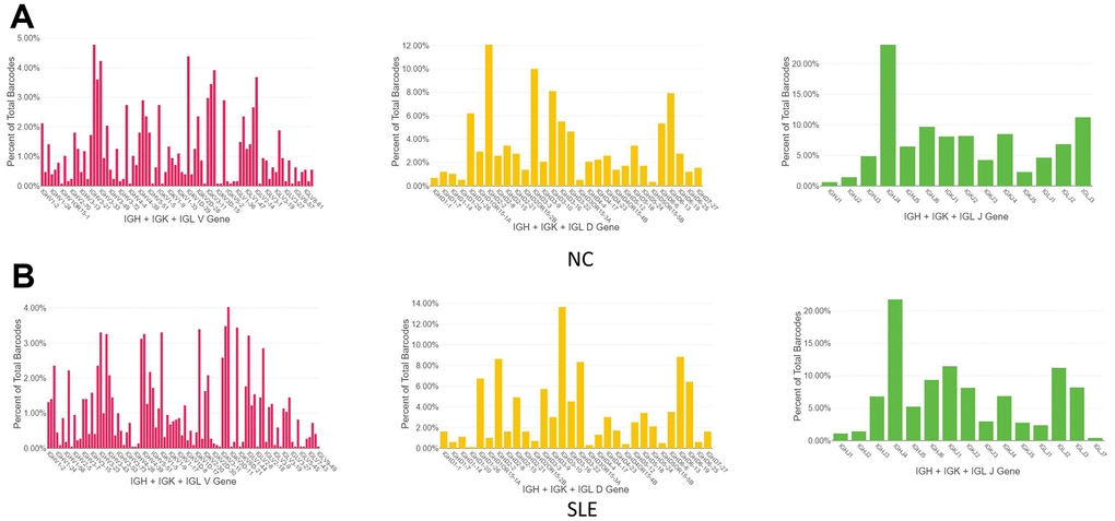 The biased usage of the VDJ gene of BCR between NC and SLE group. (A) The usage of VDJ gene of BCR IGH, IGK, and IGL chain in the NC group. (B) The usage of the VDJ gene of BCR IGH, IGK, and IGL chain in the SLE group.