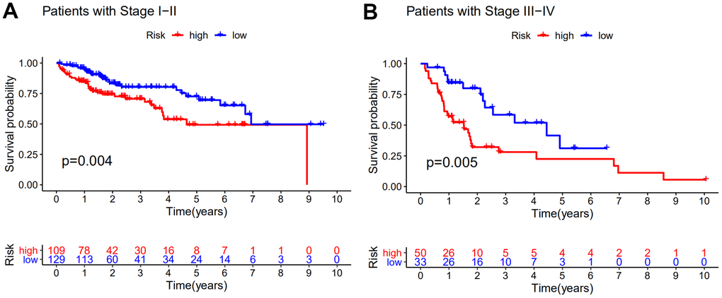 Stratification analyses by stage. Kaplan–Meier curve analysis of overall survival of patients in high- and low-risk groups for early-stage patients (A) and late-stage patients (B). Statistical analysis was performed using the log-rank test and univariate Cox analysis.