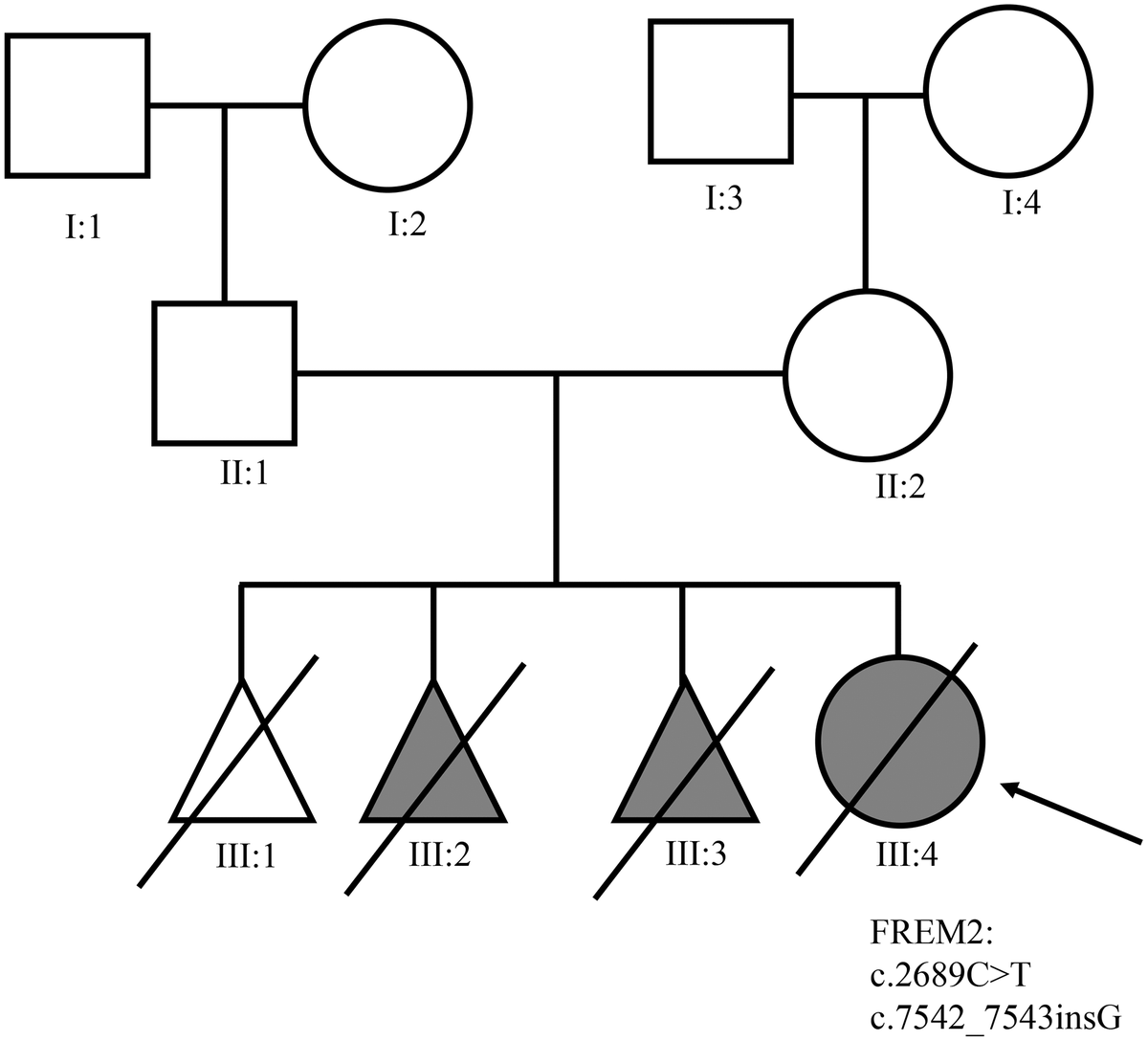 class="figure-viewer-img"