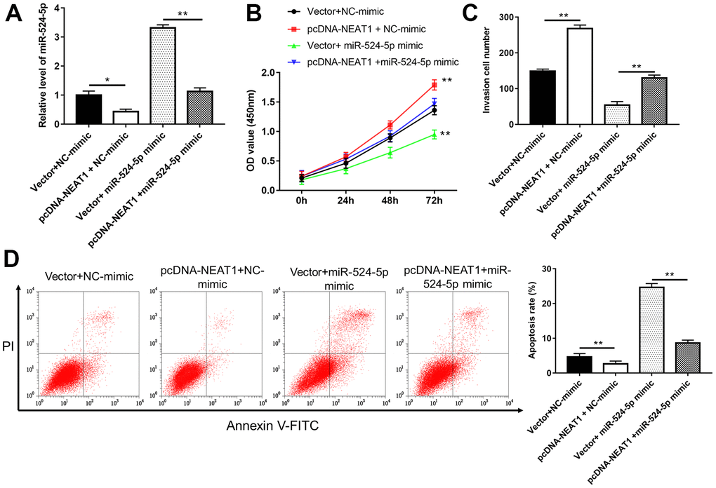 Overexpression of miR-524-5p reversed the promotive effects of NEAT1 overexpression on cell proliferation and invasion. (A) The level of miR-524-5p was analyzed after TU212 cells transfected with pcDNA-NEAT1 or/and miR-524-5p mimic. (B) Cell proliferation was detected with CCK-8 assay. (C) Transwell assay was used to evaluate cell invasion ability. (D) Apoptosis rates of TU212 cells. * P P 