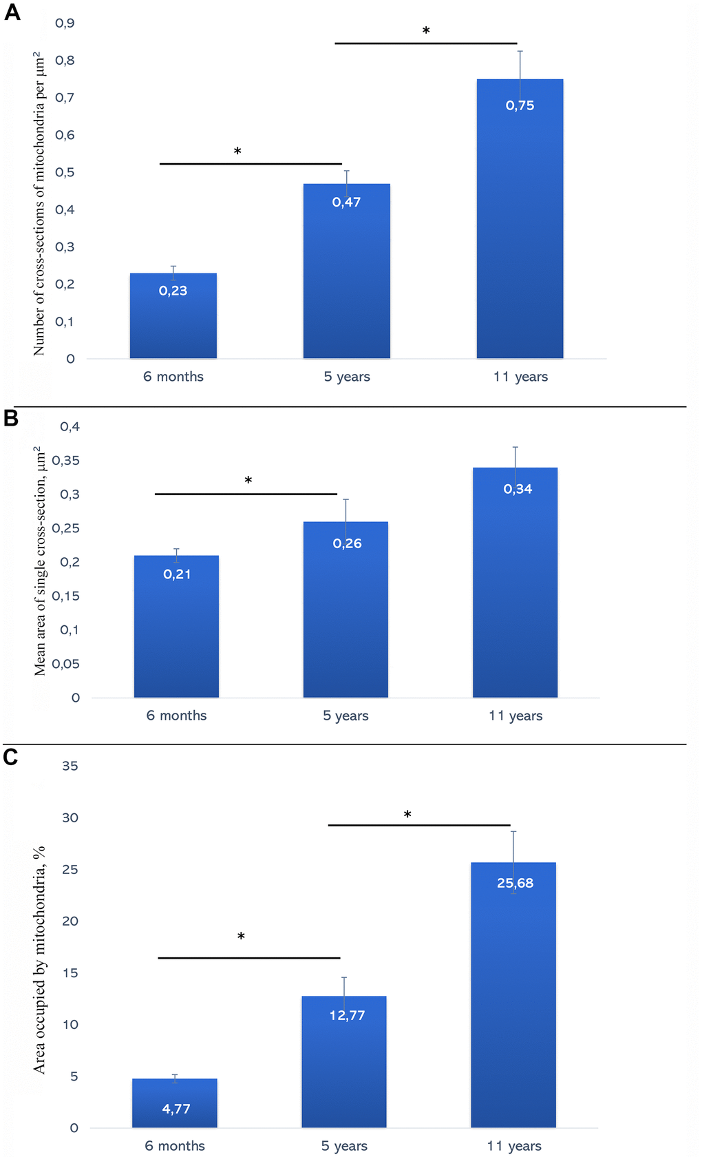 (A) Average values of the number of mitochondria per 1 μm2 of muscle fiber in naked mole rats of different ages. (B) Average values of sectional area of muscle fiber mitochondria in 6-month-old, 5-year-old and 11-year-old naked mole rats. (C) Area occupied with mitochondria in muscle fibers in naked mole rats of different ages (%). * The difference is significant at p 