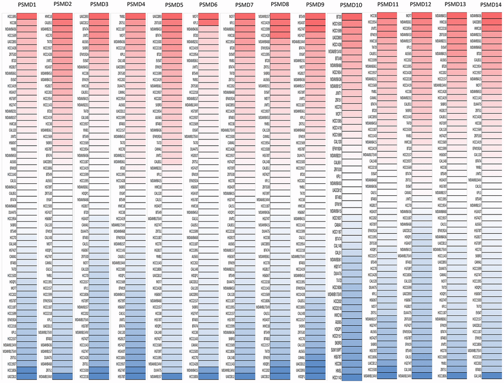 Expressions of 26S proteasome delta subunit, non-ATPase (PSMD) genes measured in common types of breast cancer (BRCA) cell lines. A CCLE database-built heatmap plot presents patterns of changes in expression levels of PSMD family genes among different BRCA cell lines. Shades of colors vary from red (overexpressed sample) to white (no change in gene expressions) and blue (under-expressed sample). The darker the colors are, the higher the gene expressions that were recorded.