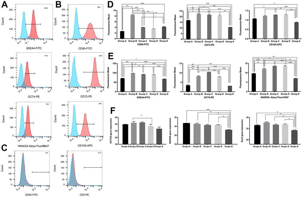 Characterization of placenta-derived mesenchymal stem cells based on surface and nuclear markers expression from different maternal age group. (A) Representative histograms of detection by fluorescence-activated cell sorting (FACS) demonstrates positive expression of three MSC pluripotency intracellular markers. Populations are more than 95% positive for SSEA4 and NANOG. (B) Representative histograms of detection by FACS demonstrates positive expression of three MSC multipotency surface markers. Populations are more than 99% positive for CD90, CD73 and CD105. (C) Representative histograms showing no detection by FACS demonstrates no expression of the immunologic markers CD45 and CD3. Populations are more than 99% negative for CD45 and CD3. (D) Graphs of difference in mean fluorescence of MSC pluripotency intracellular markers of all 5 age groups. (E) Graphs of difference in mean fluorescence of MSC multipotency surface markers of all 5 age groups. (F) Graphs showing difference in expression of MSC pluripotency intracellular transcripts NANOG, OCT4 and SOX2 gene expression measure by Real Time PCR of all 5 age groups. Group A: 18-21; Group B: 22-25; Group C: 26-30; Group D: 31-35; Group E: 36 and over. *, pppp