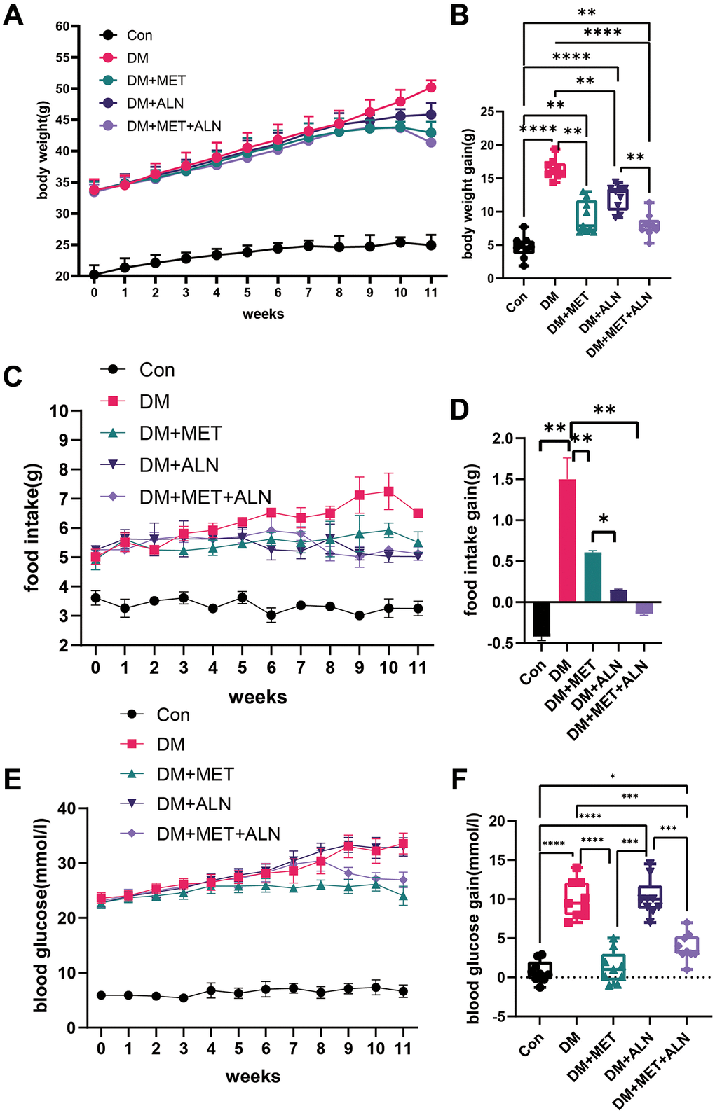 Effect of body weight, food intake and blood glucose in metformin and alendronate in diabetes mice. (A, B) Change of body weight in four group. (C, D) Change of food intake. (E, F) Change of blood glucose.