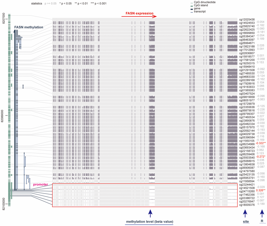 Correlation between DNA methylation and FASN expression in GBM cases. The promoter region is selected.