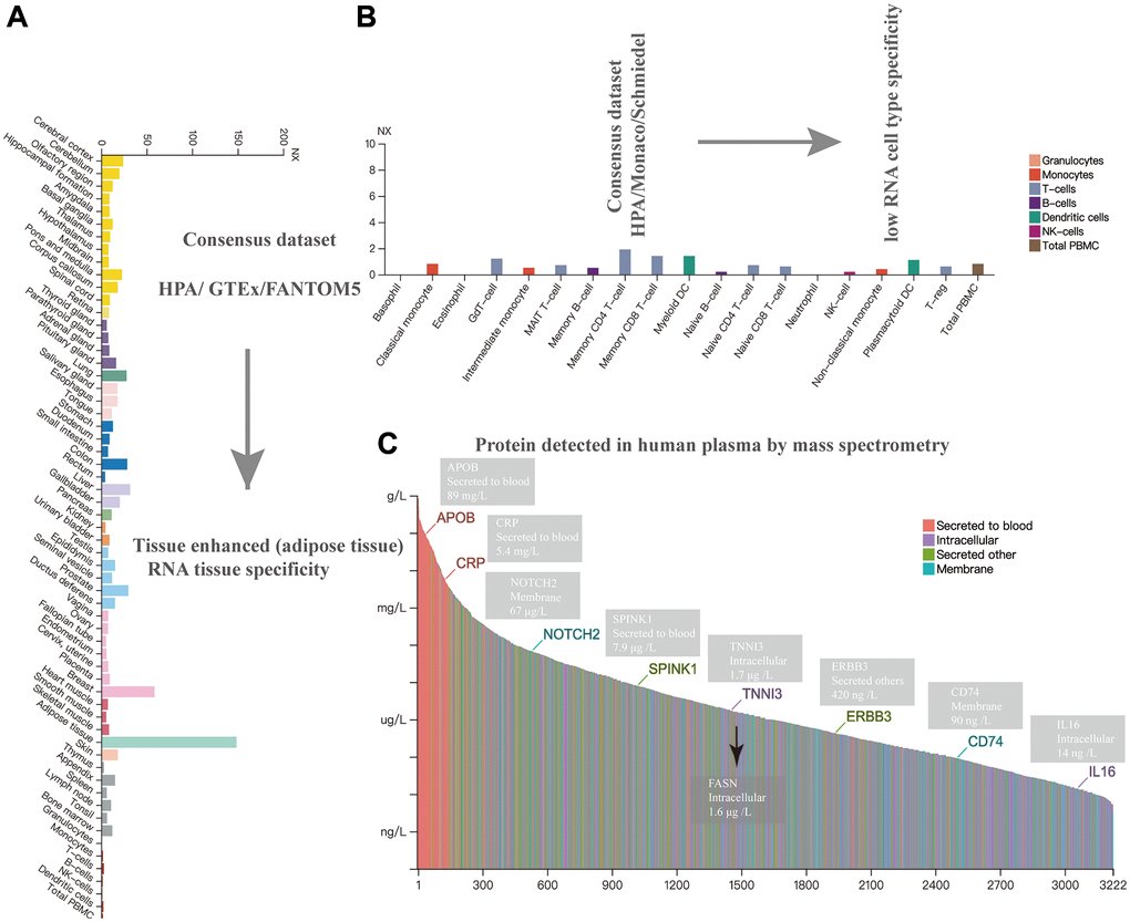 Expression analysis of FASN in different cells, tissues, and plasma. Expression of the FASN gene in different tissues (A), blood cells (B), and plasma (C) based on mass spectrometry.