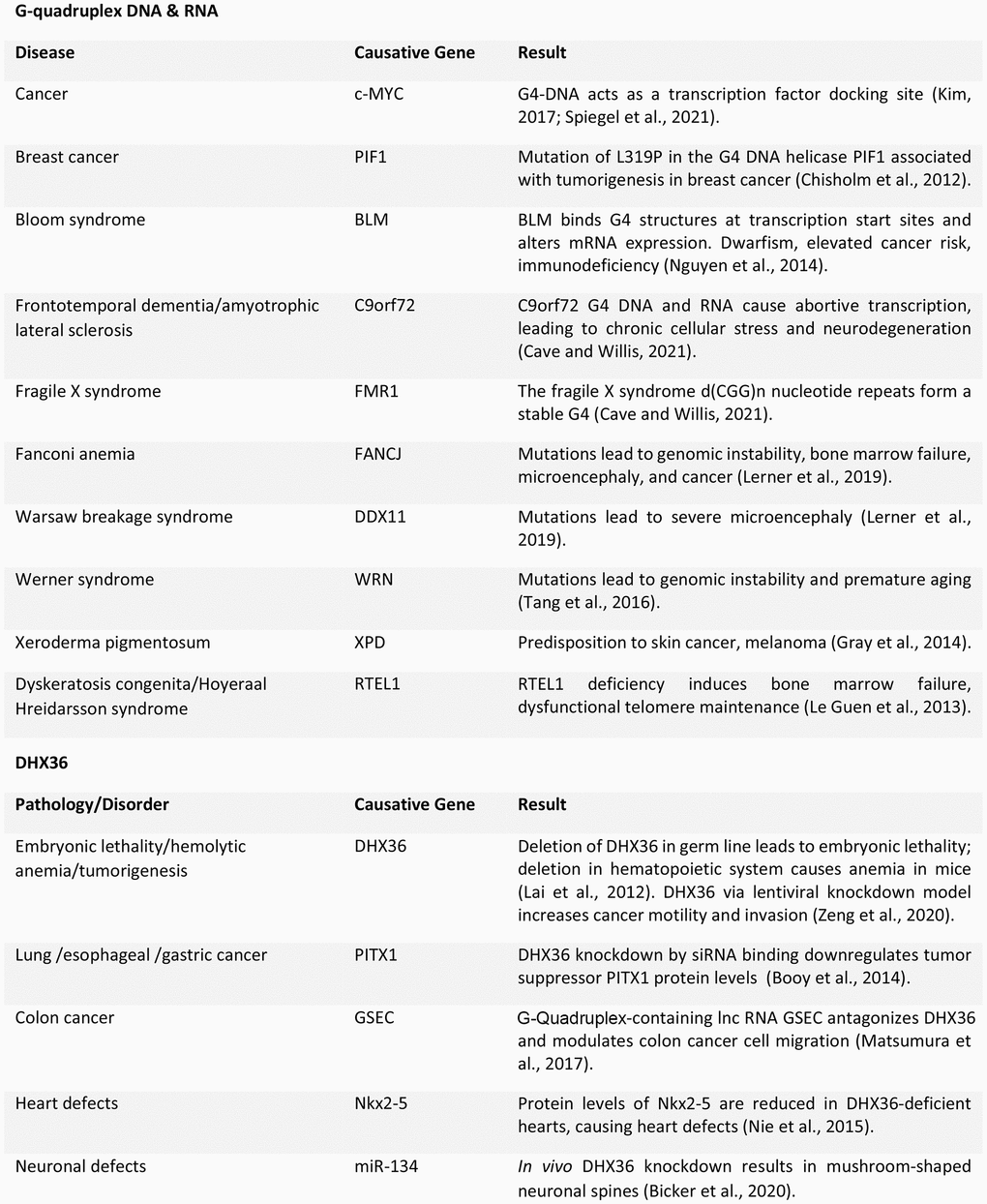 Summary of G-quadruplex-associated dysfunction in various conditions [44–50].