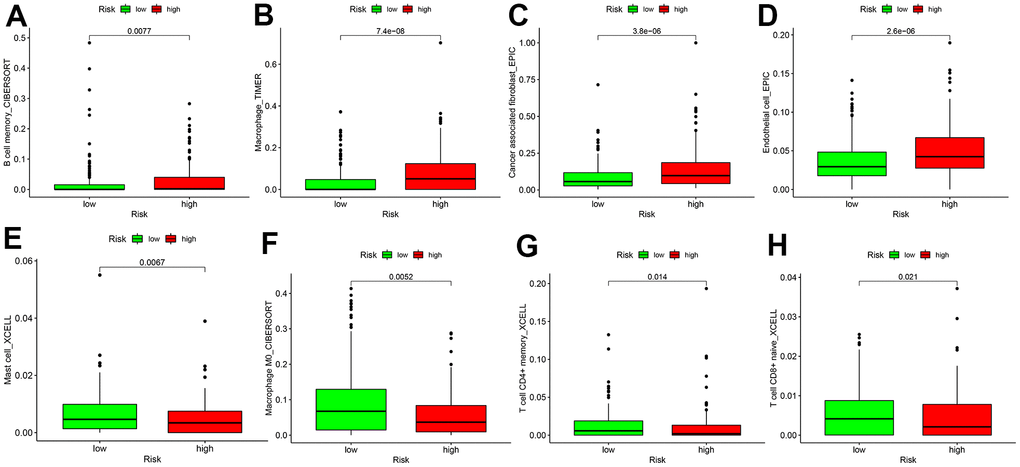 Differences in tumor-infiltrating immune cell subpopulations between GC low- and high-risk patients. (A) B cell memory; (B) Macrophage cell; (C) Cancer associated fibroblast cell; (D) Endothelial cell; (E) Mast cell; (F) Macrophage M0 cell; (G) CD4+ T memory cell; (H) T cell CD8+naive cell.