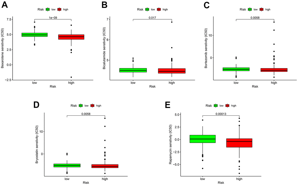 Sensitivity of low- or high-risk patients to five common chemotherapy agents. The y-axis represents 50% inhibitory concentration (IC50). (A) Bexarotene; (B) Bicalutamide; (C) Bortezomib; (D) Bryostatin; (E) Rapamycin.