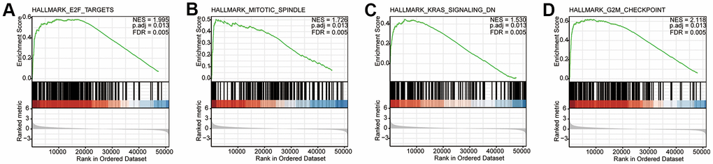 CDCA3-related signaling pathways based on GSEA. (A–D) Typical results of the GSEA for a single gene set. NES, normalized ES; p.adj, adjust p value; FDR, false discovery rate.