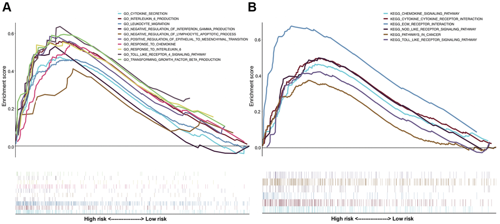 Gene set enrichment analysis (GSEA) comparing the significantly differential pathways involved by the high-risk and low-risk patients. (A) The results of Gene Ontology (GO) biological processes analysis; (B) the results of Kyoto Encyclopedia of Genes and Genomes (KEGG) pathway analysis.