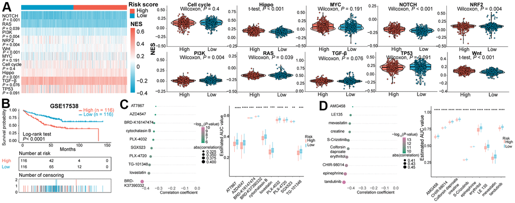 (A) Heatmap and violin plots of the NES of 10 oncogenic pathways between two subtypes in the TCGA cohort. (B) Kaplan-Meier survival curve of the high- and low- risk subgroups in GSE17538 dataset for identifying potential therapeutic agents. (C) Spearman’s correlation analysis and differential drug response analysis of 10 CTRP-derived compounds. (D) Spearman’s correlation analysis and differential drug response analysis of 10 PRISM-derived compounds. NES, normalized enrichment score.