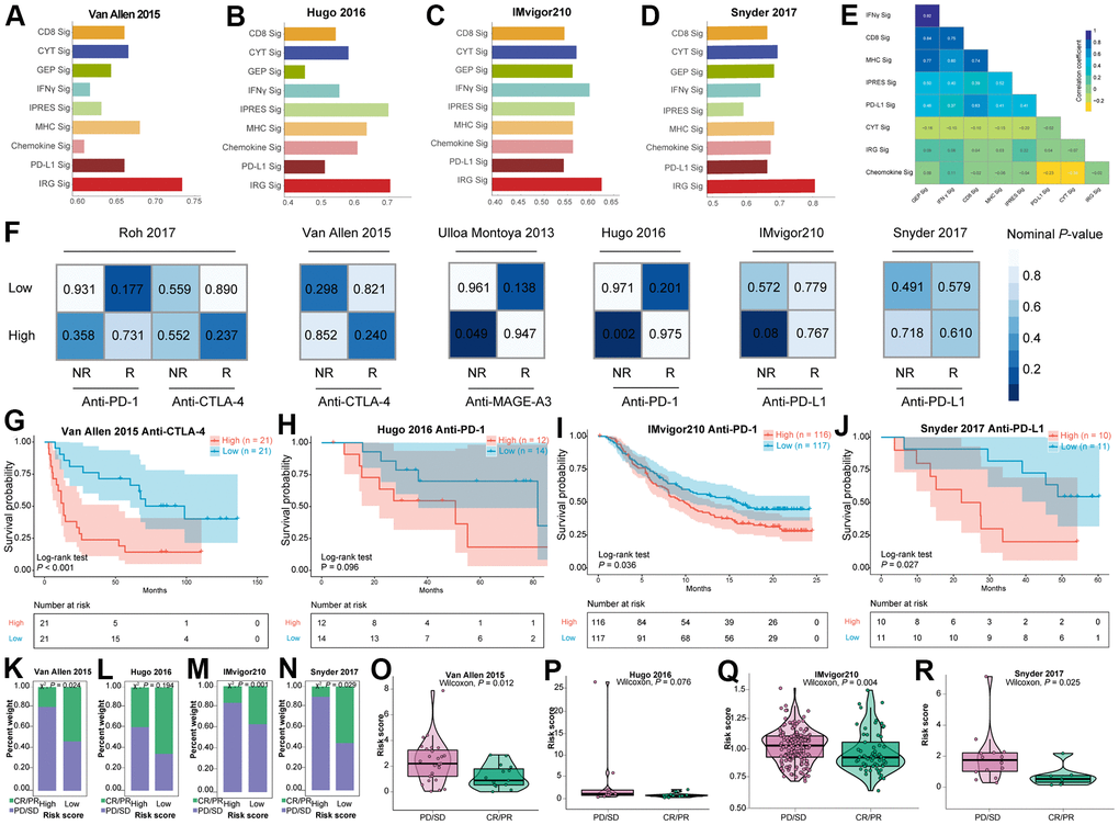 The immunotherapeutic benefit of the IRGs-based risk score in immunotherapeutic treatment cohorts. (A–D) Comparison of AUC values between IRGs-based signature and other eight previous published immune related signatures in four immunotherapeutic datasets. (E) Similarity comparison between IRGs-based signature and other seven previous signatures. (F) SubMap analysis utilizing six immunotherapy datasets. Kaplan-Meier survival curve of OS for patients with high- and low- risk score subtypes for (G) Van Allen et al. (2015) dataset, (H) Hugo et al. (2016) dataset, (I) IMvigor210 dataset, and (J) Snyder et al. (2017) dataset. Bar graph illustrated the treatment response to immunotherapy within high- and low- risk score subtypes in (K) Van Allen et al. (2015) dataset, (L) Hugo et al. (2016) dataset, (M) IMvigor210 dataset, and (N) Snyder et al. (2017) dataset. Violin plots illustrated the distribution of risk score for patients with different immunotherapy responses in (O) Van Allen et al. (2015) dataset, (P) Hugo et al. (2016) dataset, (Q) IMvigor210 dataset, and (R) Snyder et al. (2017) dataset.