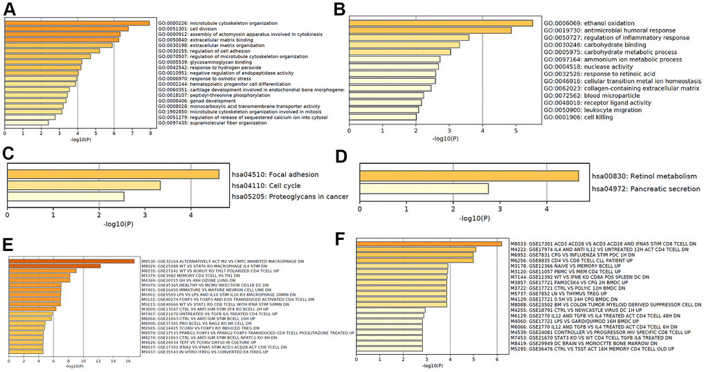 Functional analysis of mRNA in CRC tumorigenesis. GO enrichment showed upregulated (A) and downregulated (B) mRNA in CRC tumorigenesis associated biological processes. KEGG pathway analysis showed upregulated (C) and downregulated (D) signaling pathways associated with CRC tumorigenesis. Hallmark gene sets analysis showed upregulated (E) and downregulated (F) expression in CRC tumorigenesis associated immunologic signatures.