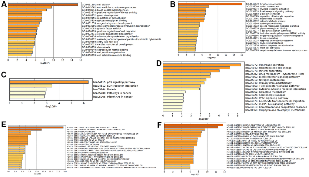 Functional analysis of mRNA in CRC metastasis. GO enrichment showed upregulated (A) and downregulated (B) mRNAs in CRC metastasis-associated biological processes. KEGG pathway analysis showed upregulated (C) and downregulated (D) CRC metastasis-associated signaling pathways. Hallmark gene sets analysis showed upregulated (E) and downregulated (F) expression in CRC metastasis-associated immunologic signatures.