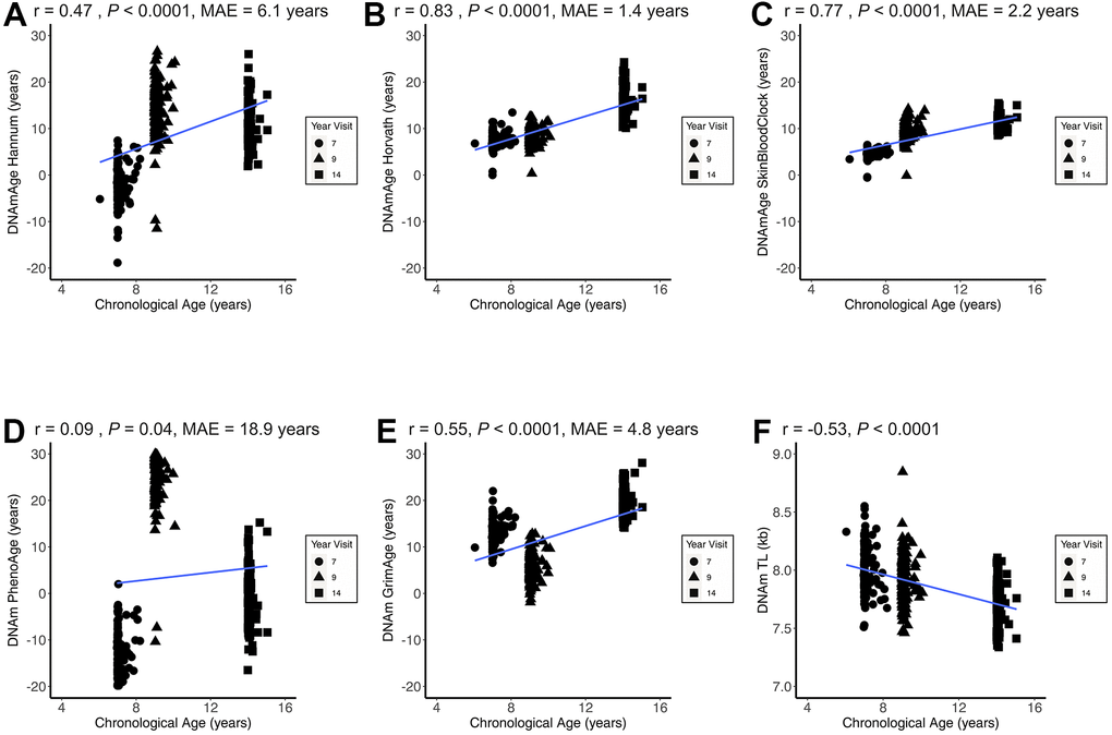 Epigenetic age correlations with chronological age. Figure 1 presents the child chronological age and epigenetic age correlation coefficients across all three CHAMACOS participant age timepoints (Obs = 483) for DNAmAge Hannum (A), DNAmAge Horvath (B), DNAmAge SkinBloodClock (C), DNAm PhenoAge (D), DNAm GrimAge (E), and DNAm TL (F). MAE = median absolute error.