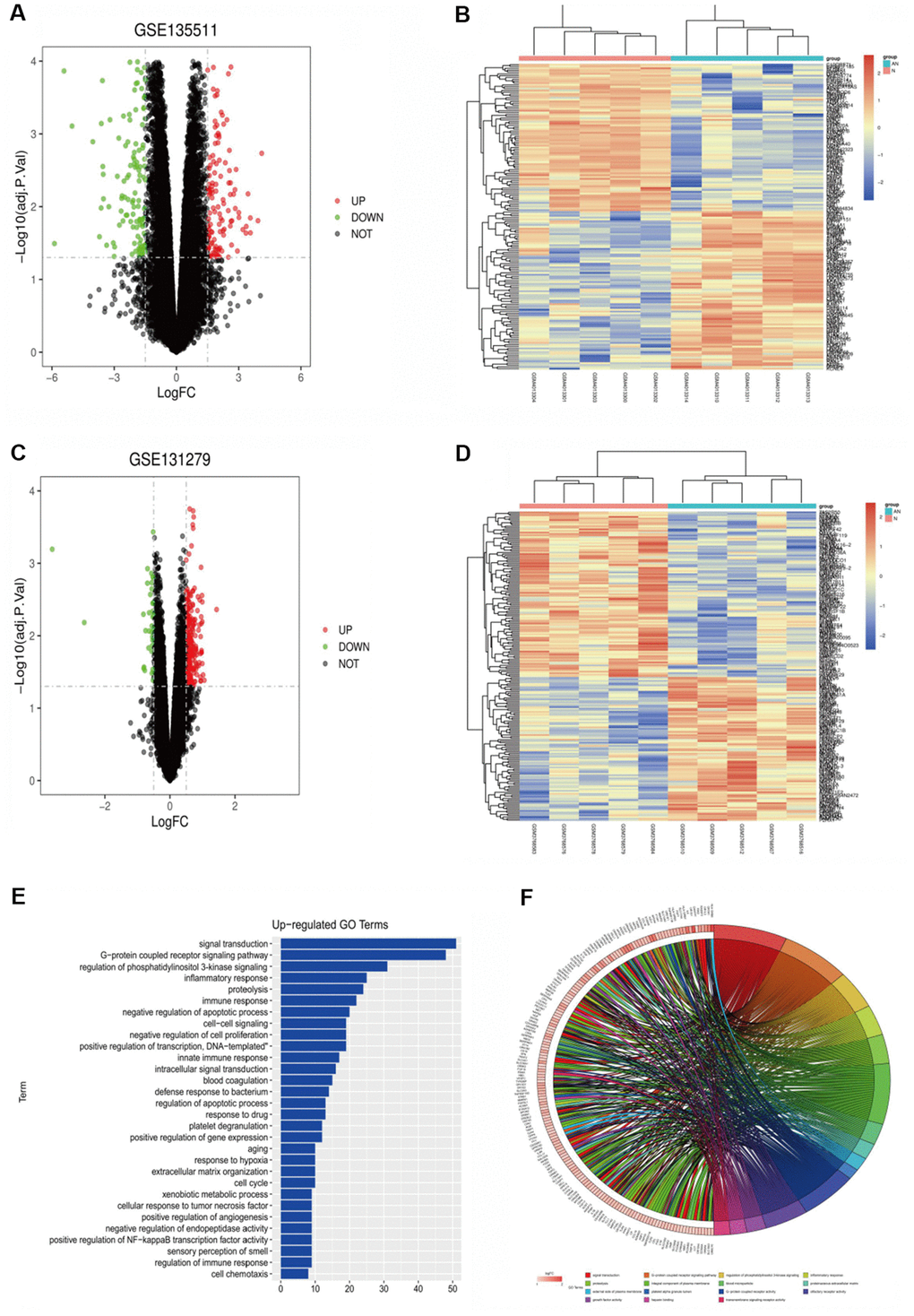 (A) GSE135511 differential gene volcano map. (B) GSE135511 heat map of differential gene cluster analysis. (C) GSE131279 differential gene volcano map. (D) GSE131279 heat map of differential gene cluster analysis. (E, F) GO enrichment analysis of the up-regulated pathway.