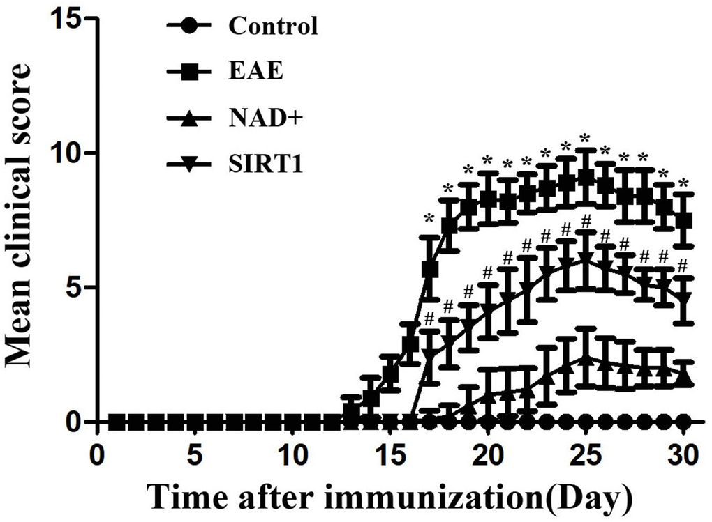 Neurological function score of mice in each group.