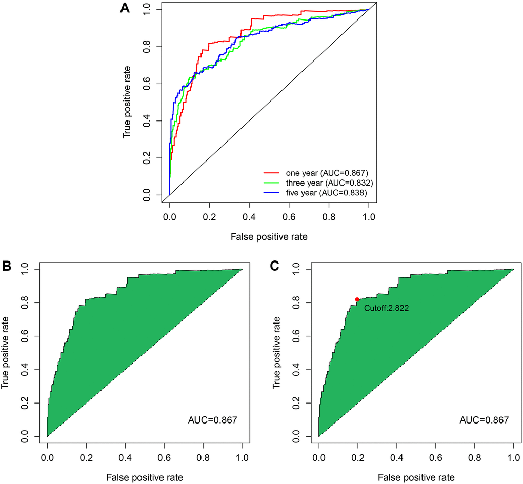 The ROC curves by establishing the risk coefficient model through the immune lncRNA pairs of ccRCC. (A) The 1, 3, and 5-year ROC curves were obtained using model construction. The AUC values were all higher than 0.83. (B) One-year ROC curve with maximum AUC value obtained by the model. (C) The cut-off value of 2.822 that distinguishes between high- and low-risk patients was obtained using the best fit.