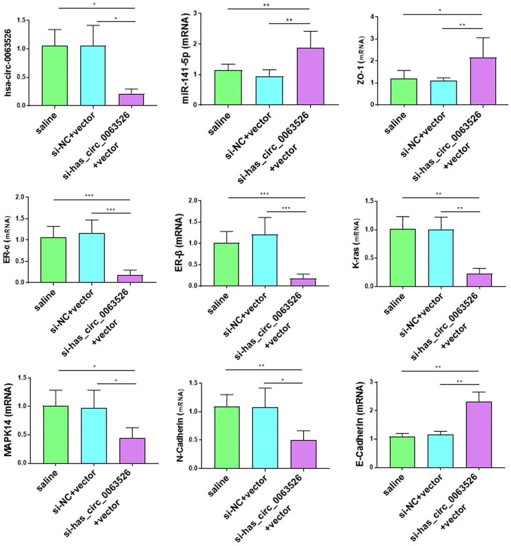 Effects of si-hsa