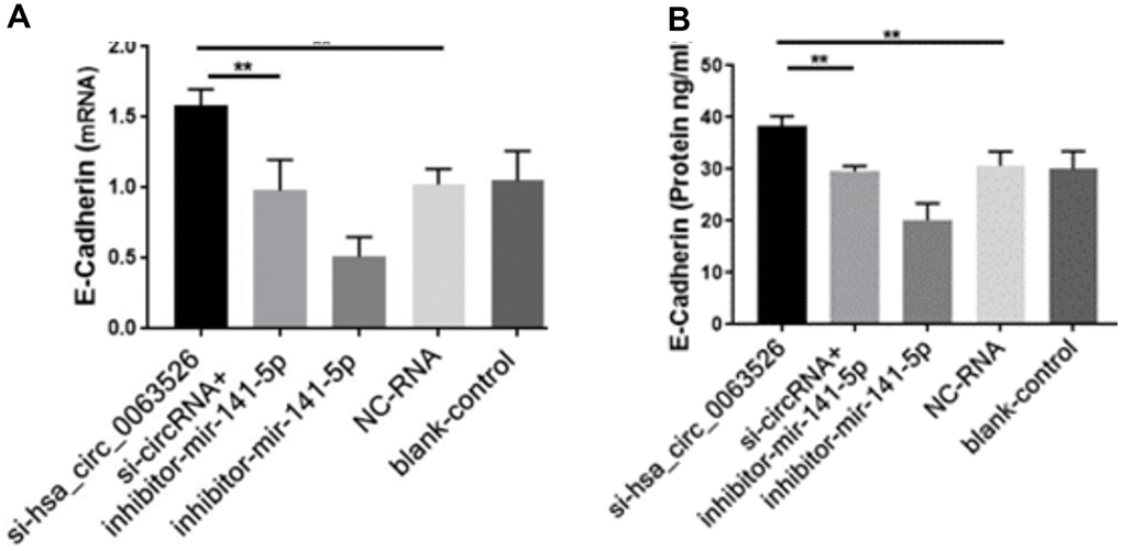 RT-qPCR and ELISA assay to investigate the effect of inhibition of hsa