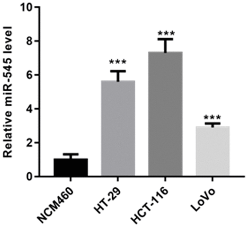 RT-PCR analysis demonstrated that the level of miR-545 was significantly increased in HT-29, HCT-116 and LoVo cells than that of NCM460 cells.